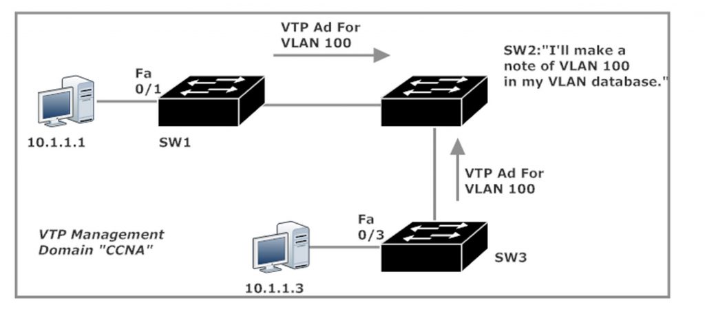 VLAN 100 Pings Fail