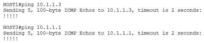 Pings succeed!