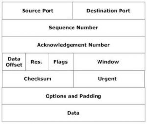 TCP Header Fields