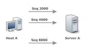 A TCP Segment Is Lost (6000)