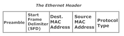 The Ethernet Header