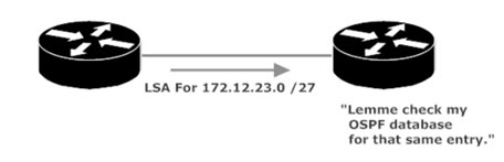 OSPF Incoming LSA