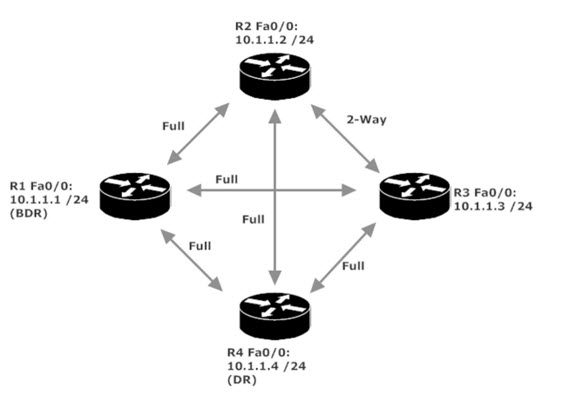 Full and 2-way OSPF adjacencies