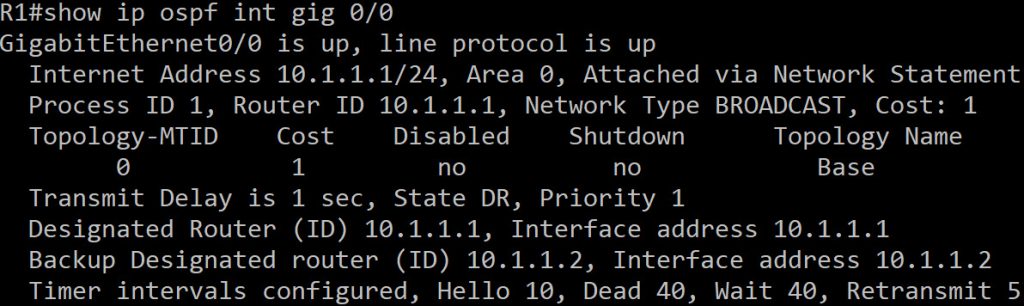 show ip ospf interface Command Output