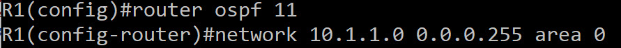 OSPF Configuration Process 11