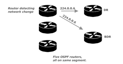 OSPF Change Notification Via 224.0.0.6