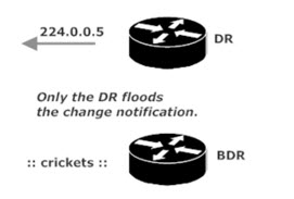 OSPF DR Flooding Via 224.0.0.5
